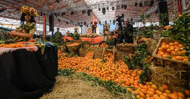 İzmir Seferihisar Mandalina Festivali Şenliği