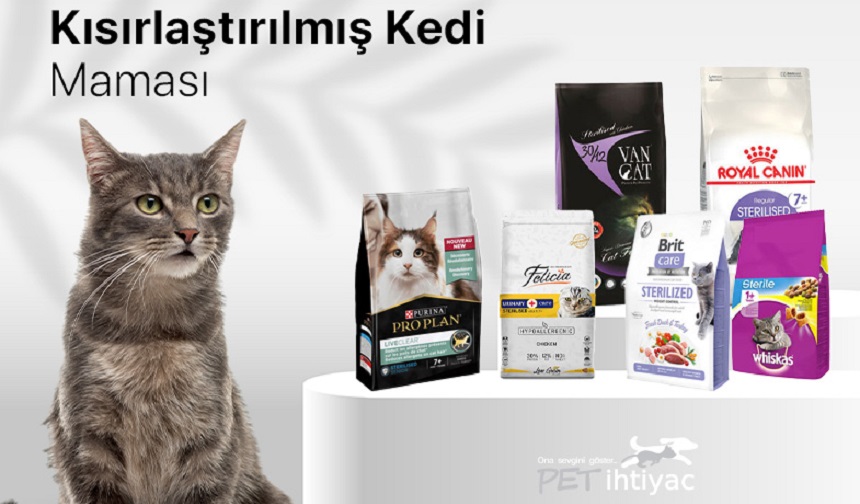 Kısırlaştırılmış Kediler İçin Beslenme Rehberi En İyi Kedi Maması Seçenekleri